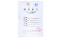 檢驗報告